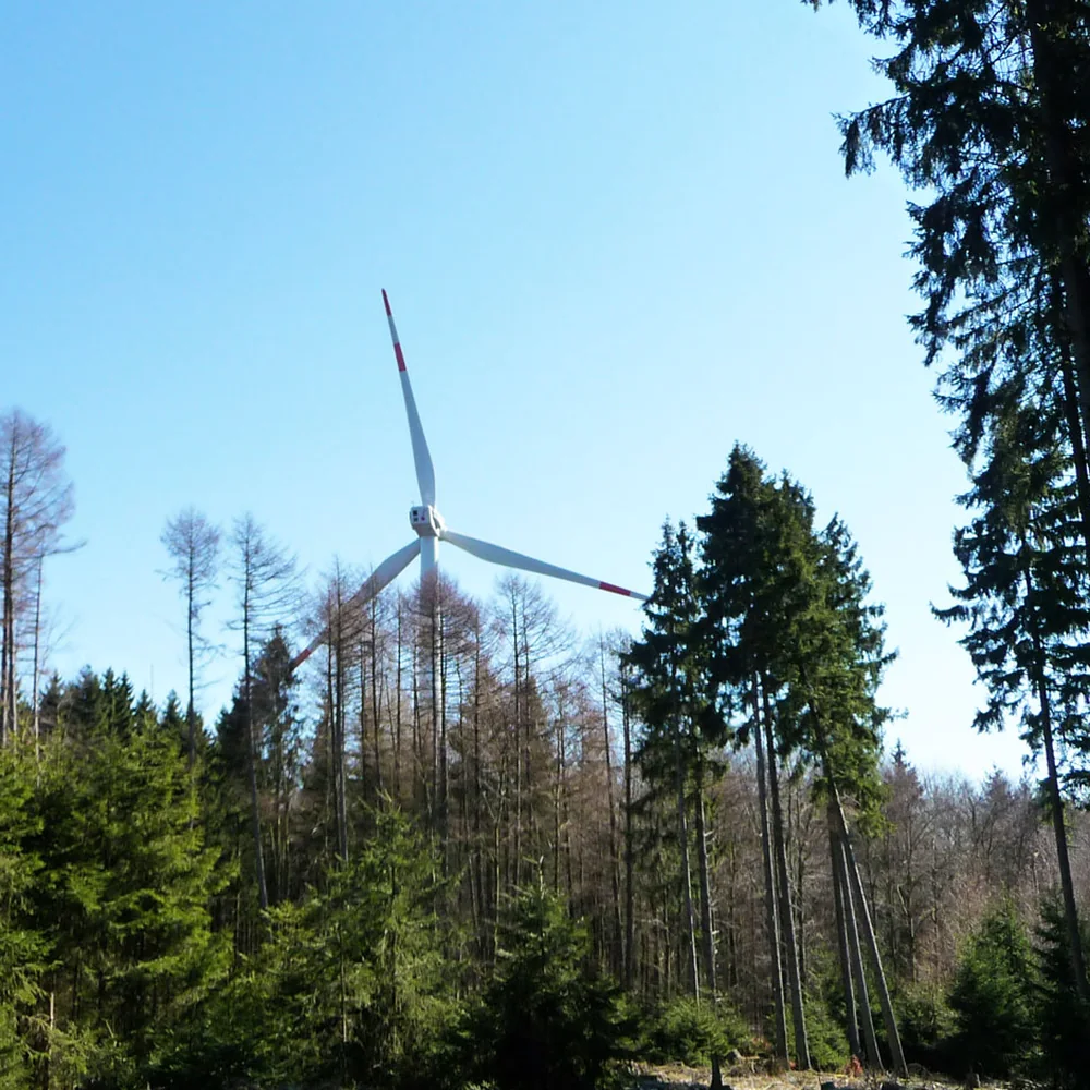 Windenergieanlage, die innerhalb einer Forstfläche über den Baumkronen steht